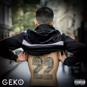 22 BY Geko